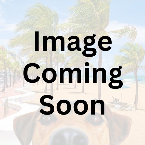 South Florida Pet Sitter