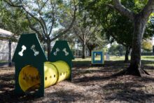 Dr. Paul's Dog Park