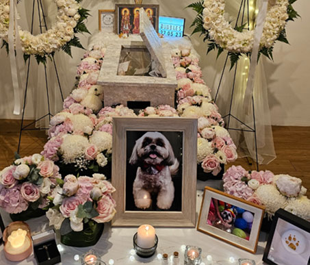 Memorial & Cremation