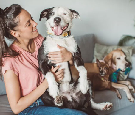 Pet Sitting