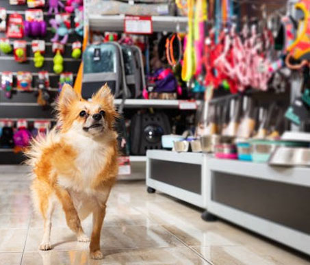 Pet Stores