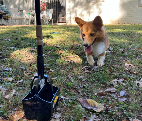 Pooper Scoopers
